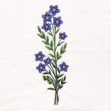 Wild and Free Blooms