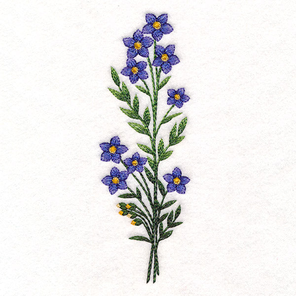 Wild and Free Blooms