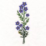 Wild and Free Blooms