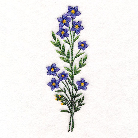 Wild and Free Blooms