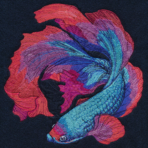 Betta Fish in Full Color