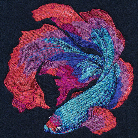 Betta Fish in Full Color