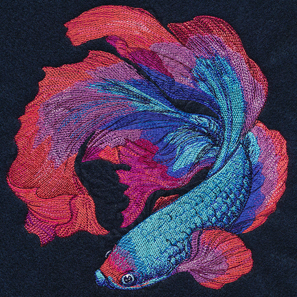 Betta Fish in Full Color