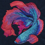Betta Fish in Full Color