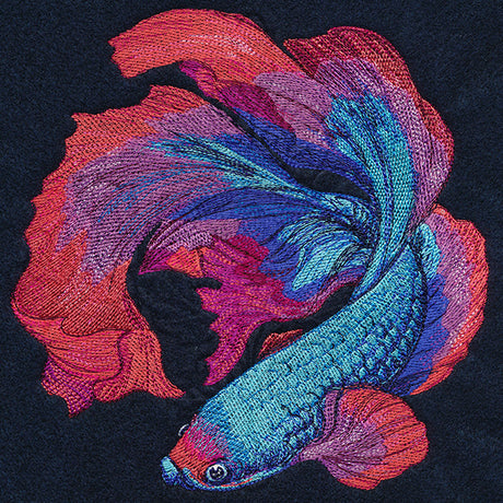 Betta Fish in Full Color