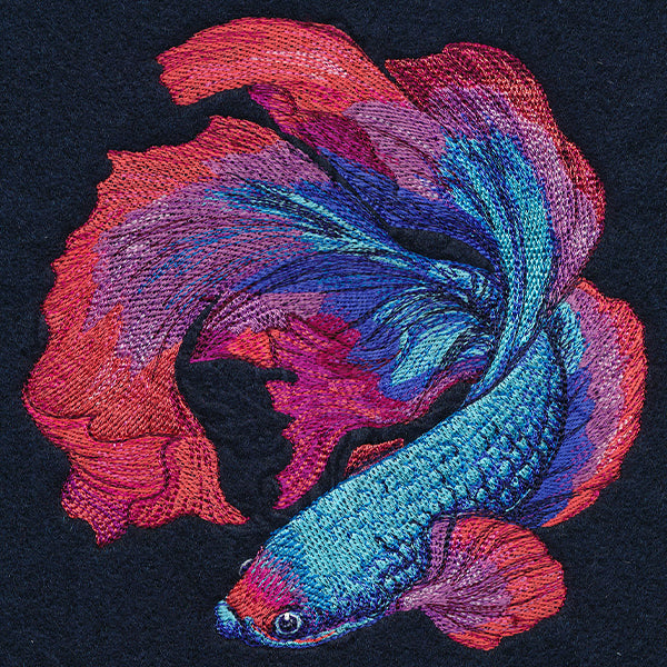 Betta Fish in Full Color