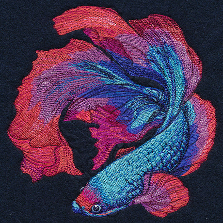 Betta Fish in Full Color