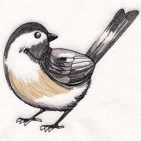 Chickadee Etching