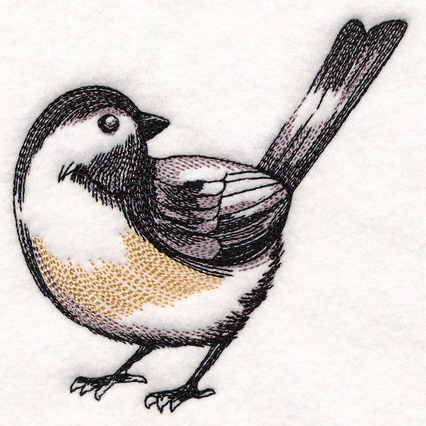 Chickadee Etching
