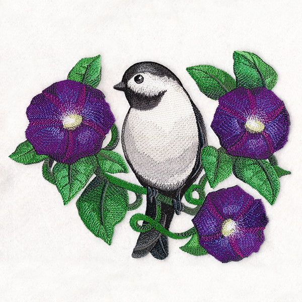 Lively Chickadee in Morning Glories