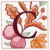 Welcome Fall Square - C