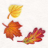 Cascading Leaves in Autumn Corner