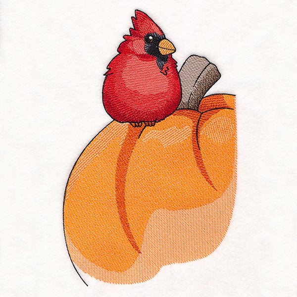 Sweet Cardinal and Pumpkin