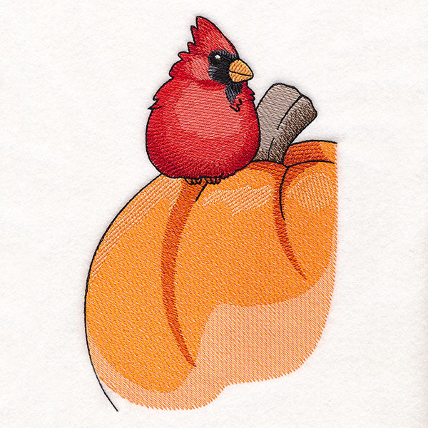 Sweet Cardinal and Pumpkin