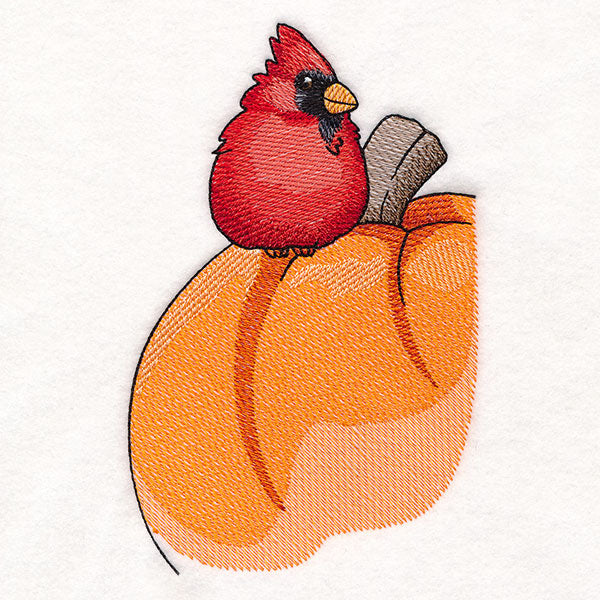 Sweet Cardinal and Pumpkin
