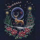 Santa's Flight Through A Midnight Christmas Garden