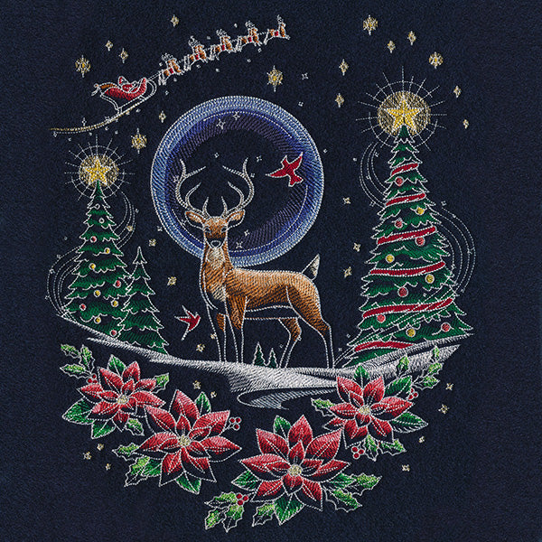 Santa's Flight Through A Midnight Christmas Garden