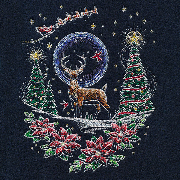 Santa's Flight Through A Midnight Christmas Garden