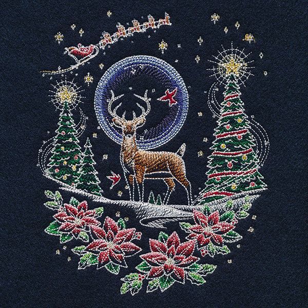 Santa's Flight Through A Midnight Christmas Garden