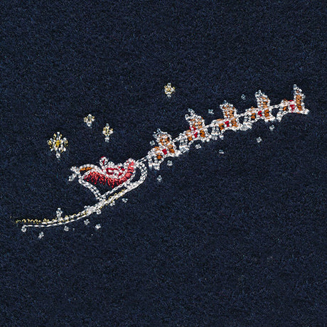 Midnight Christmas Garden - Santa's Flight