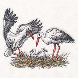 Family Time in the Stork Nest