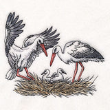 Family Time in the Stork Nest