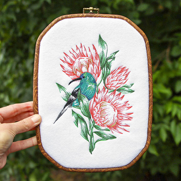 Contours of Beauty Protea and Malachite Sunbird