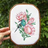 Contours of Beauty Protea and Malachite Sunbird