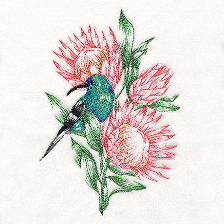 Contours of Beauty Protea and Malachite Sunbird