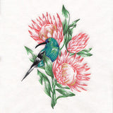 Contours of Beauty Protea and Malachite Sunbird