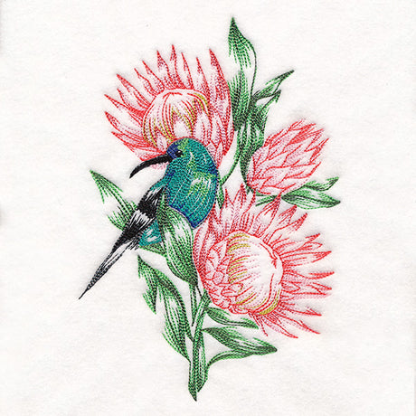 Contours of Beauty Protea and Malachite Sunbird
