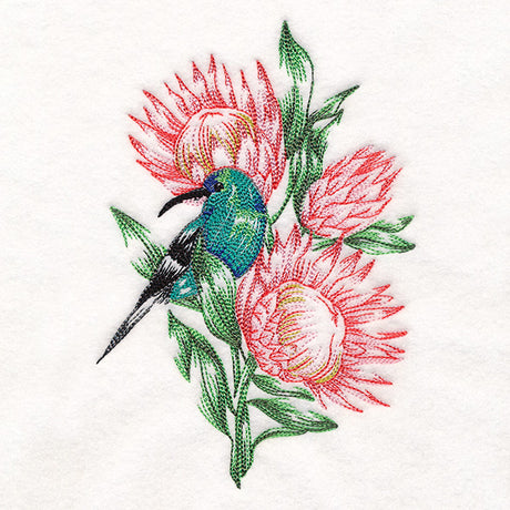 Contours of Beauty Protea and Malachite Sunbird