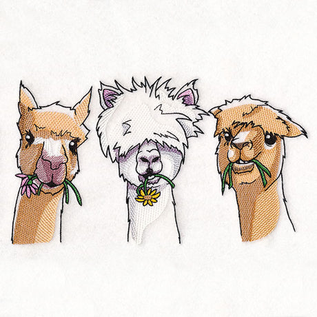 Sweet & Sassy Alpaca Trio