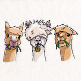 Sweet & Sassy Alpaca Trio