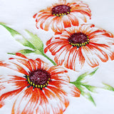 Contours of Beauty Coneflowers