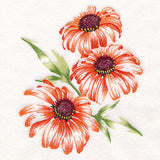 Contours of Beauty Coneflowers