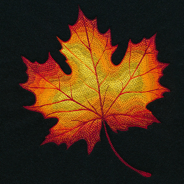 Autumn Fire Maple Leaf