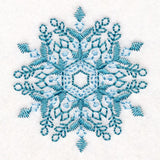 Textured & Delicate Snowflake 1