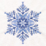 Textured & Delicate Snowflake 3