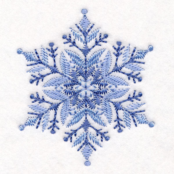 Textured & Delicate Snowflake 3