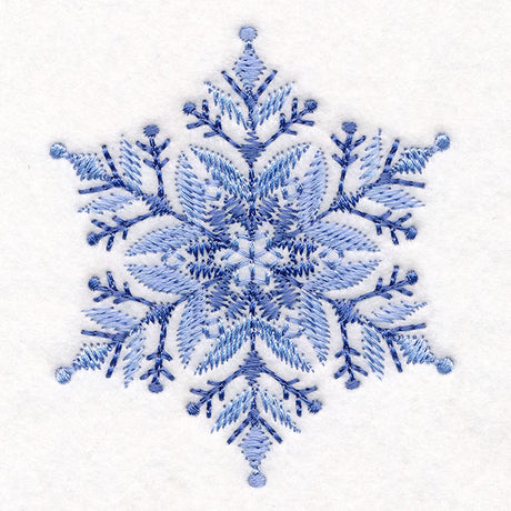 Textured & Delicate Snowflake 3