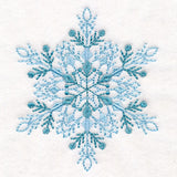 Textured & Delicate Snowflake 5
