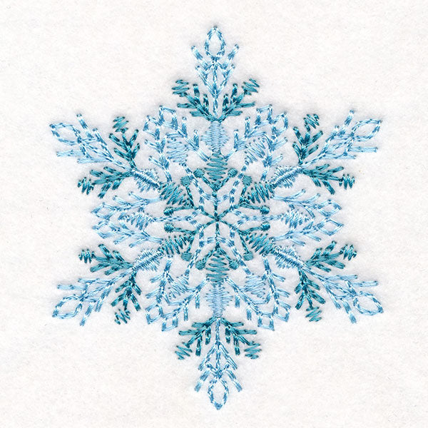 Textured & Delicate Snowflake 5