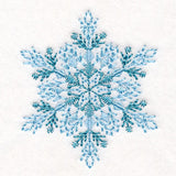 Textured & Delicate Snowflake 5