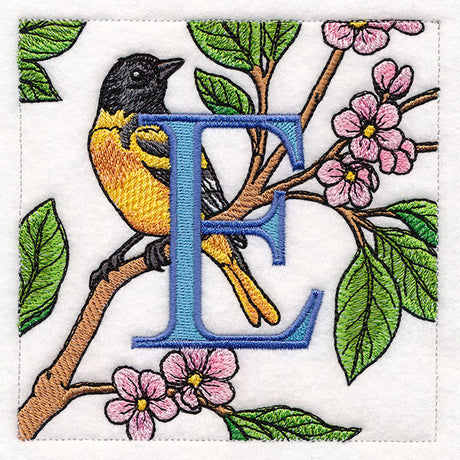 Spring Into Home Bird Squares - E