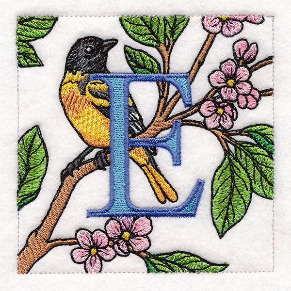 Spring Into Home Bird Squares - E