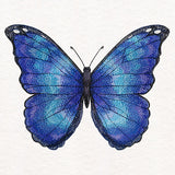 Textured & Lovely Blue Morpho Butterfly