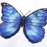 Textured & Lovely Blue Morpho Butterfly