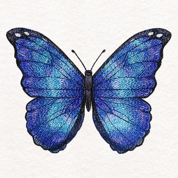 Textured & Lovely Blue Morpho Butterfly