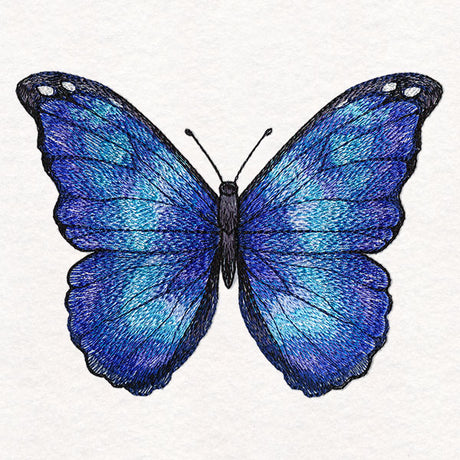 Textured & Lovely Blue Morpho Butterfly